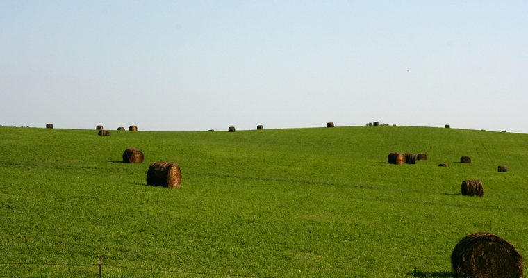 REGRESSO AO TRABALHO